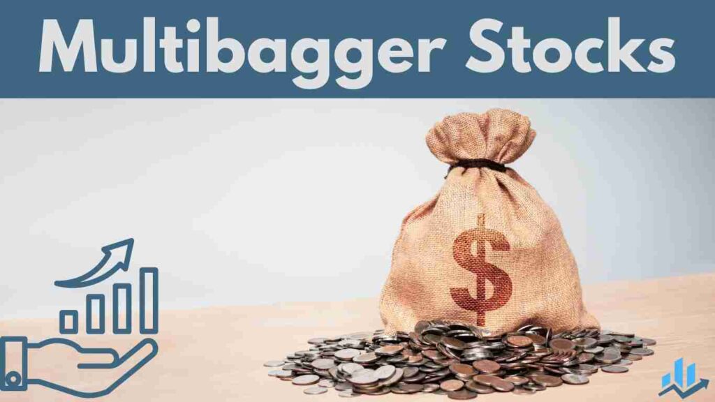 Multibagger Stocks Characteristics Identification Investment 2624